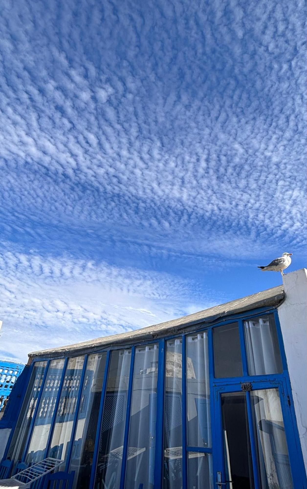 Wave Mogador Essaouira Exterior foto